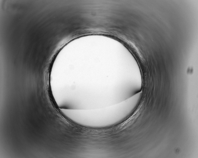 X0000103451365200810101118