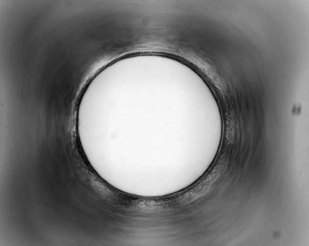 X0000103451366200810101118