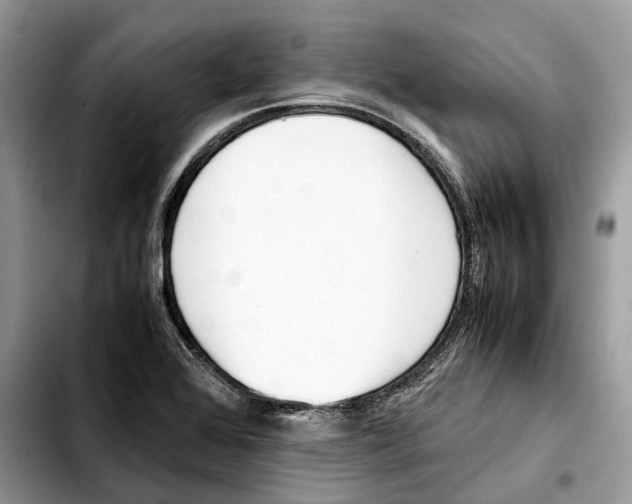 X0000103451368200810101118