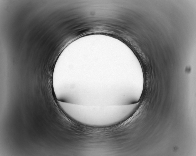 X0000103451369200810101118