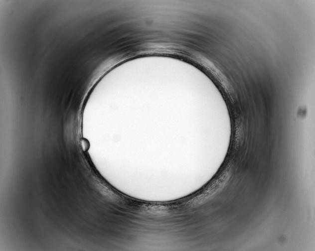 X0000103451370200810101118