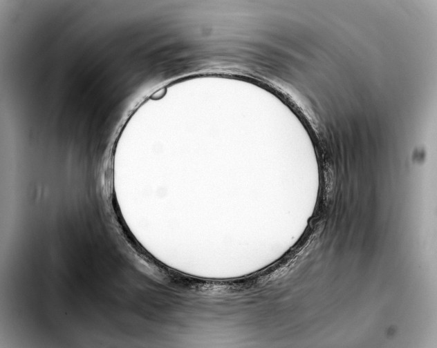 X0000103451371200810101118