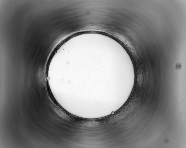 X0000103451372200810101118