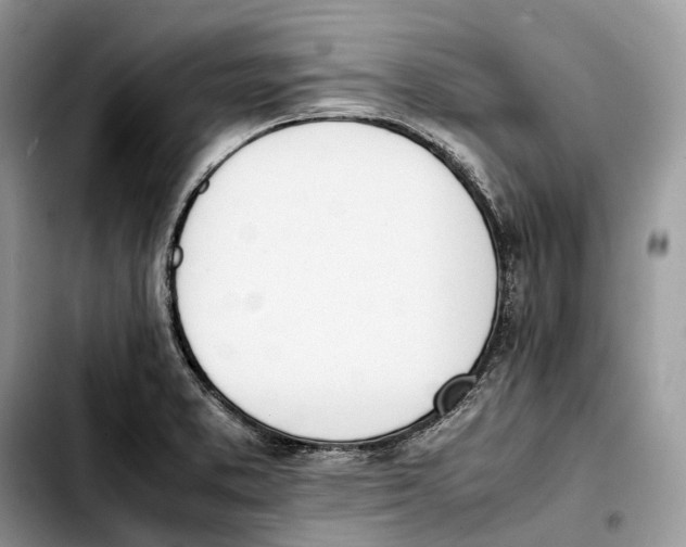 X0000103451373200810101118