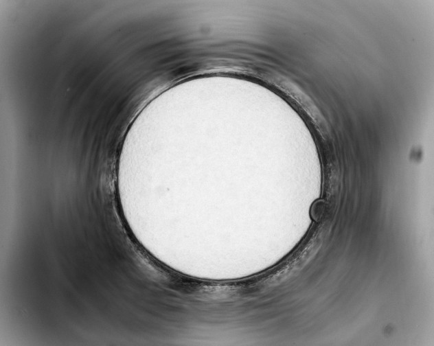 X0000103451377200810101117