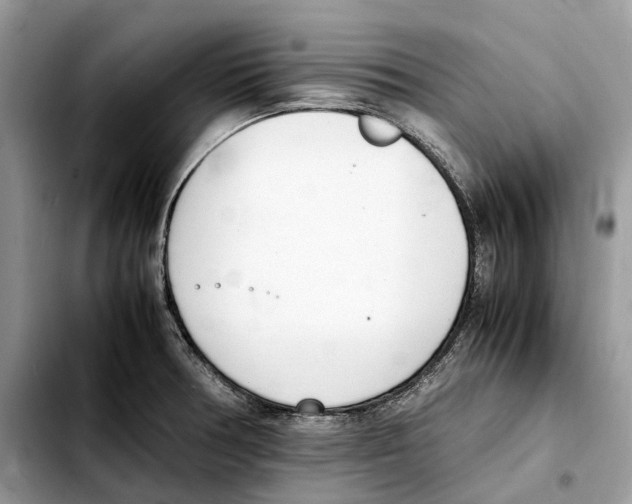 X0000103451378200810101117