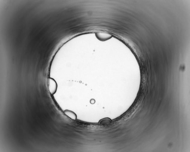 X0000103451379200810101117