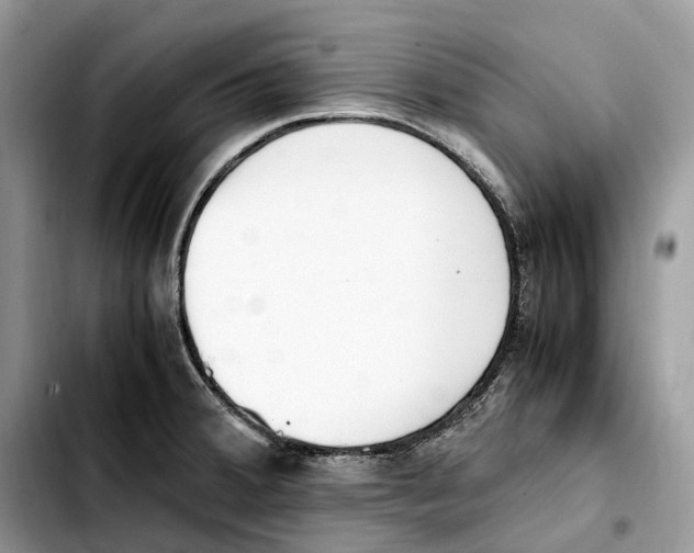 X0000103451380200810101117