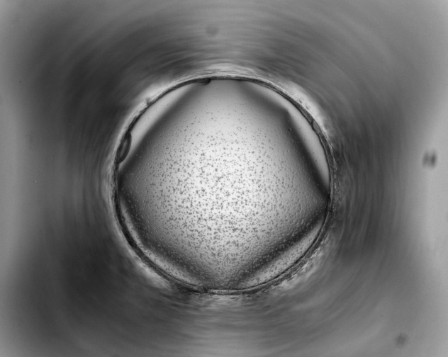 X0000103451381200810101117