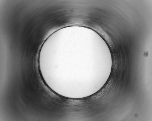 X0000103451382200810101117