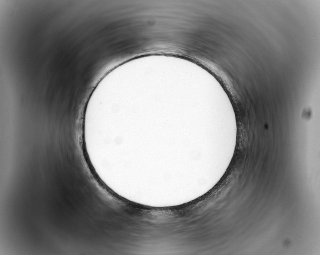 X0000103451383200810101117