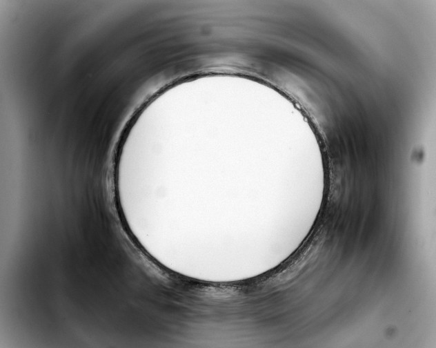 X0000103451384200810101117