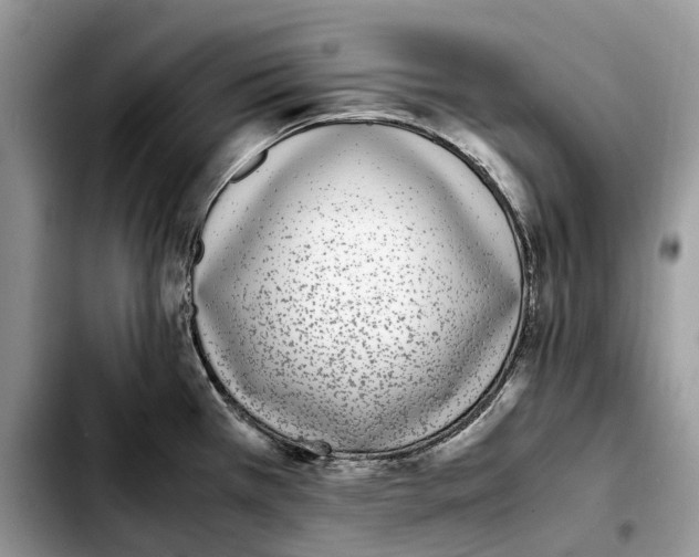 X0000103451385200810101117