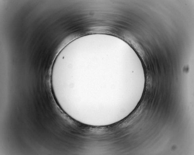 X0000103451386200810101117