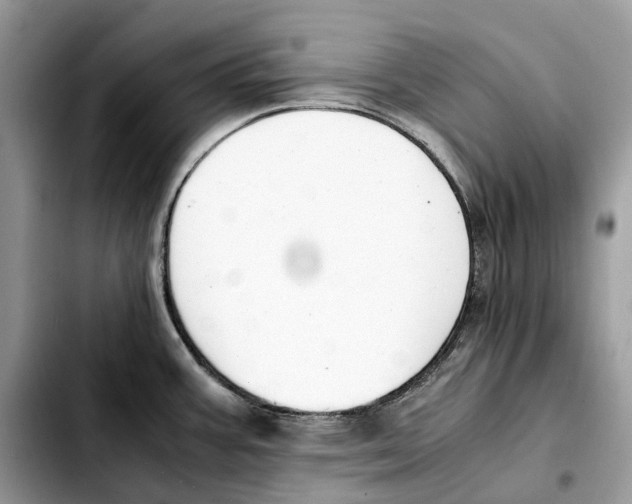 X0000103451387200810101117