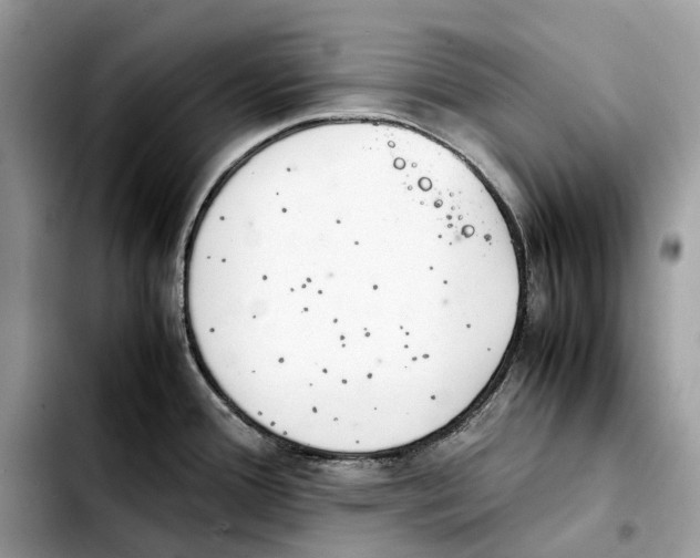 X0000103451388200810101117