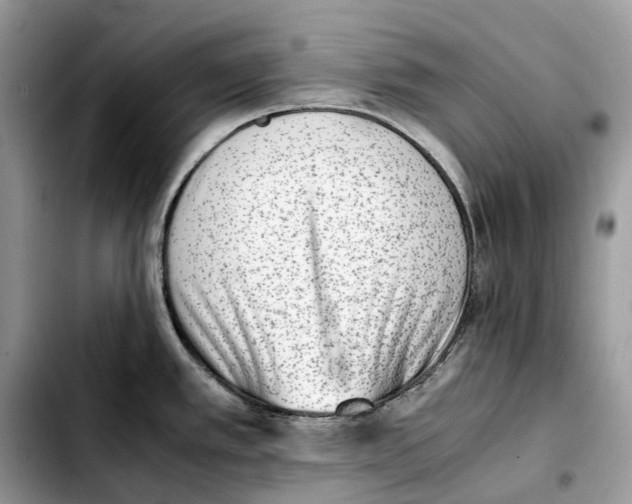 X0000103451389200810101117