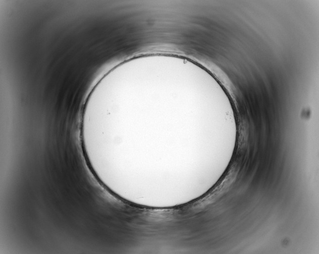 X0000103451390200810101117