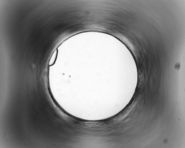 X0000103451391200810101117