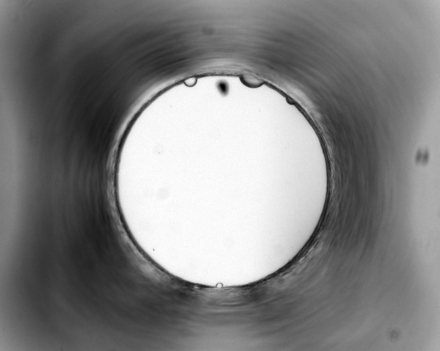 X0000103451392200810101117