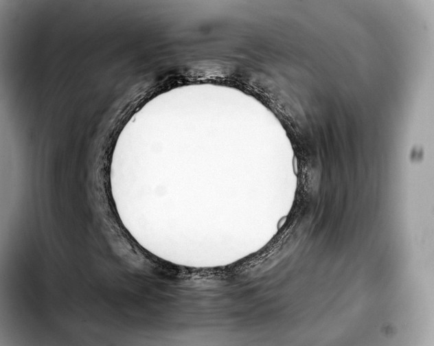 X0000103451393200810101117