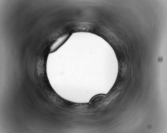 X0000103451394200810101117