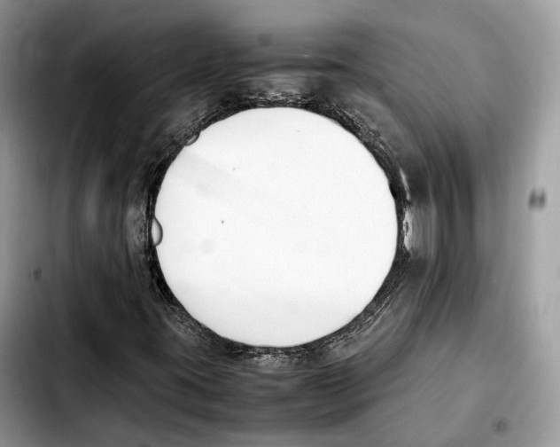 X0000103451395200810101117