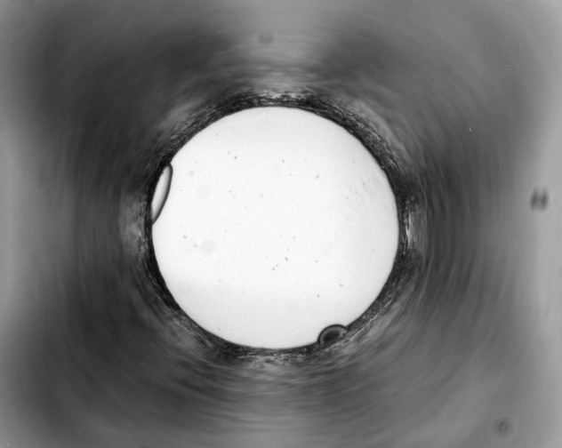 X0000103451396200810101117