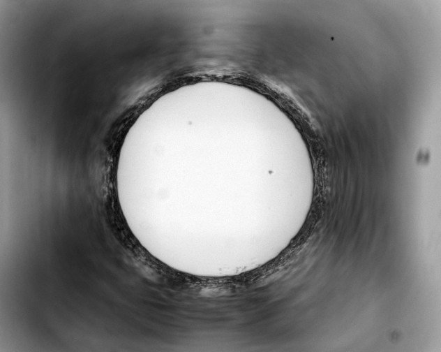 X0000103451399200810101117