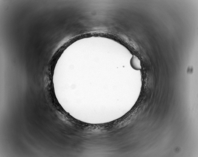 X0000103451400200810101117