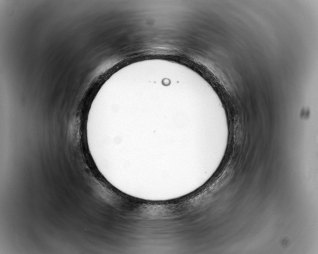 X0000103451402200810101117