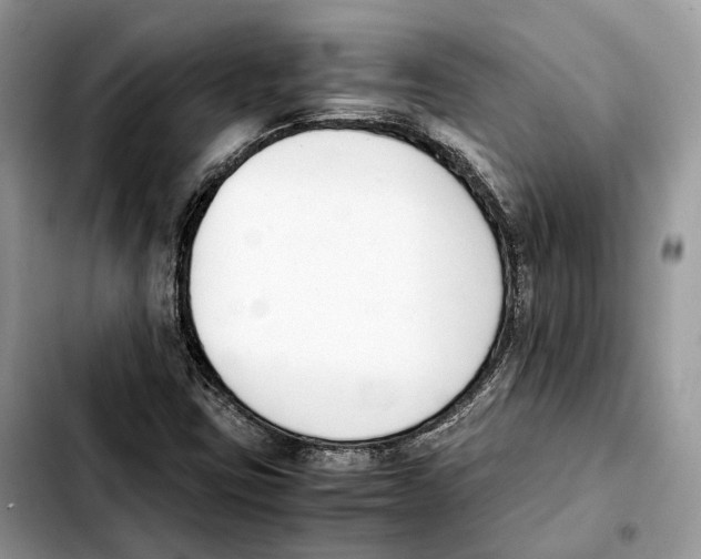 X0000103451403200810101117