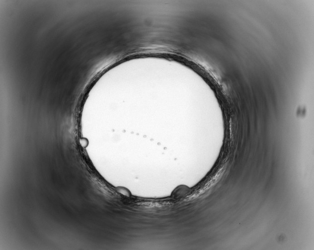 X0000103451405200810101117