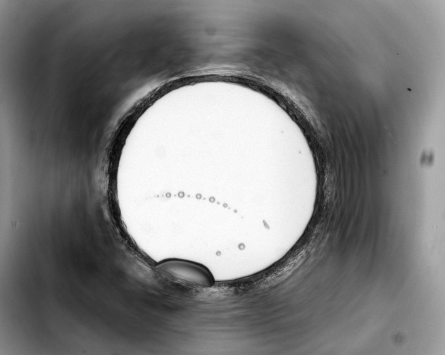 X0000103451406200810101117