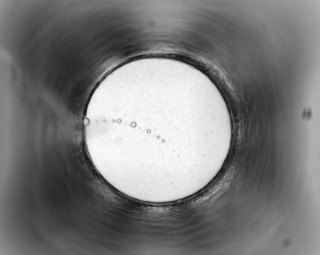 X0000103451409200810101117