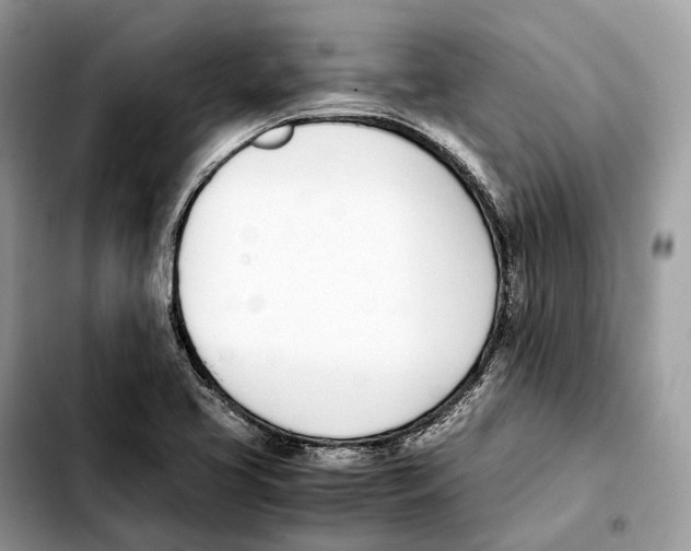 X0000103451413200810101117