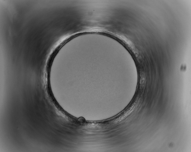 X0000103451414200810101117