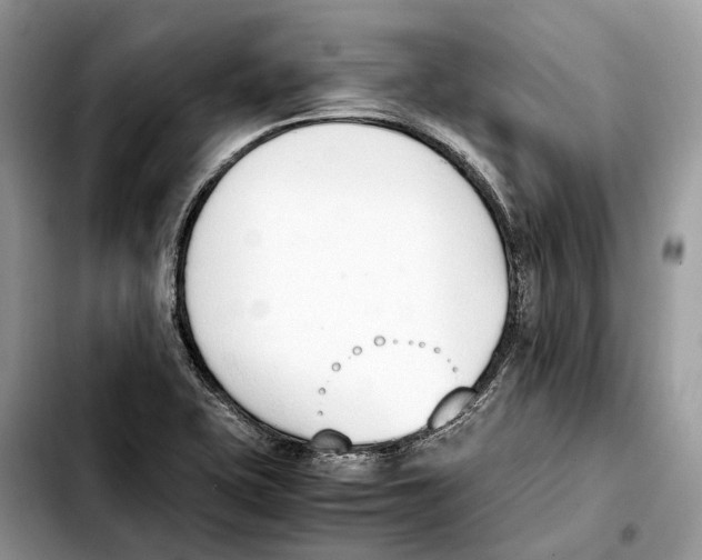 X0000103451415200810101117