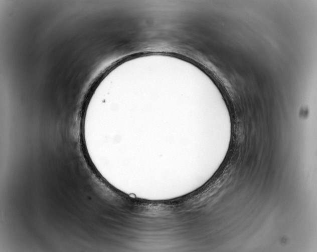 X0000103451416200810101117