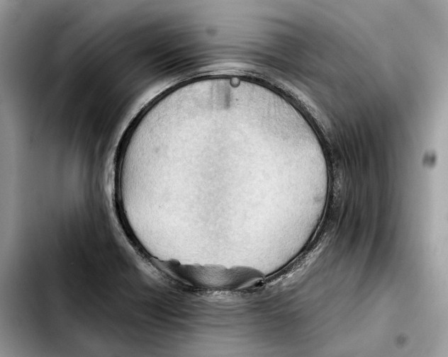 X0000103451418200810101117