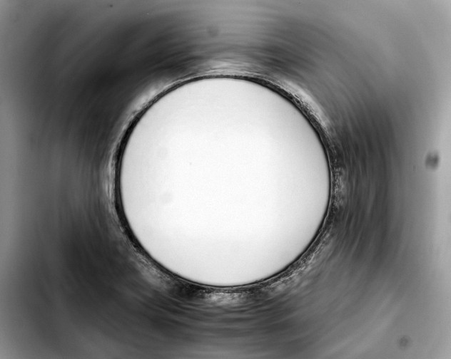 X0000103451419200810101117