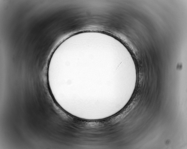 X0000103451421200810101117