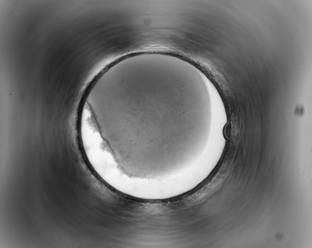 X0000103451422200810101117