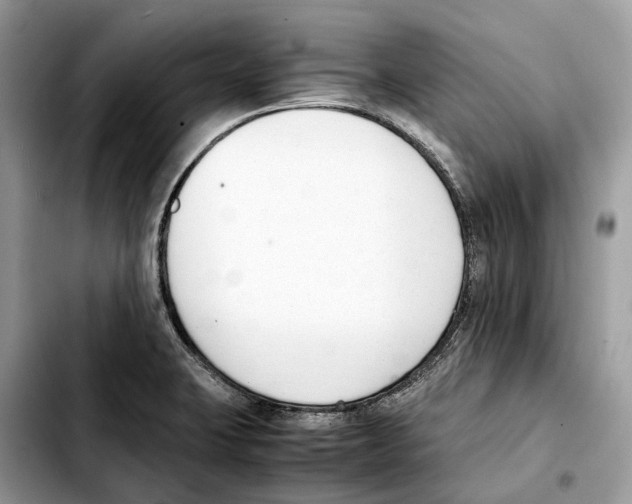 X0000103451423200810101117