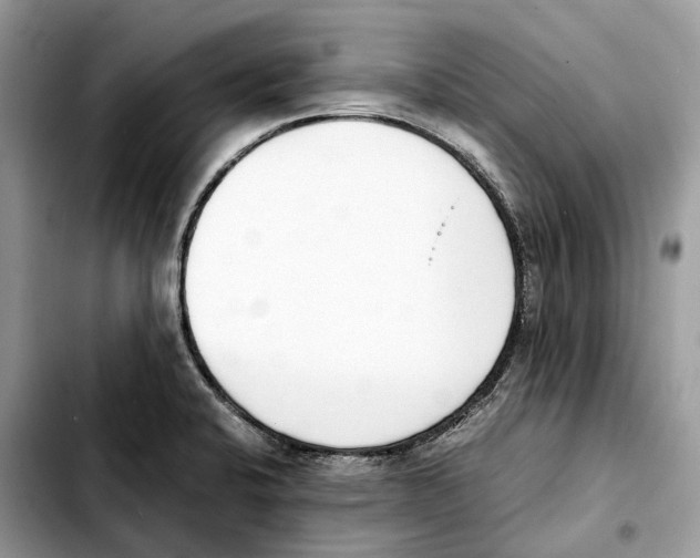 X0000103451424200810101117