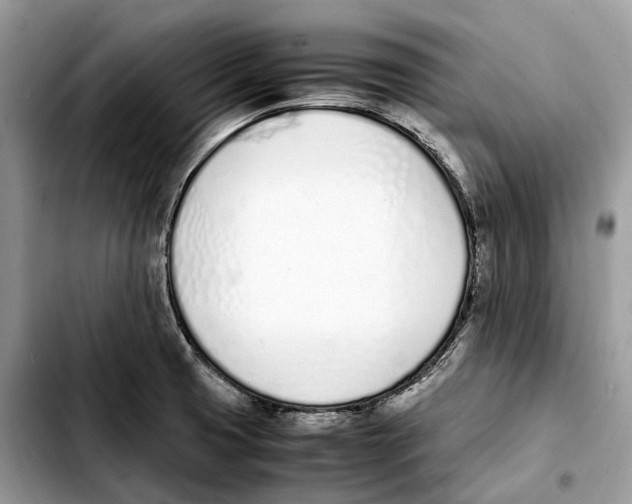 X0000103451425200810101117