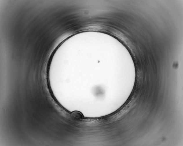 X0000103451426200810101117