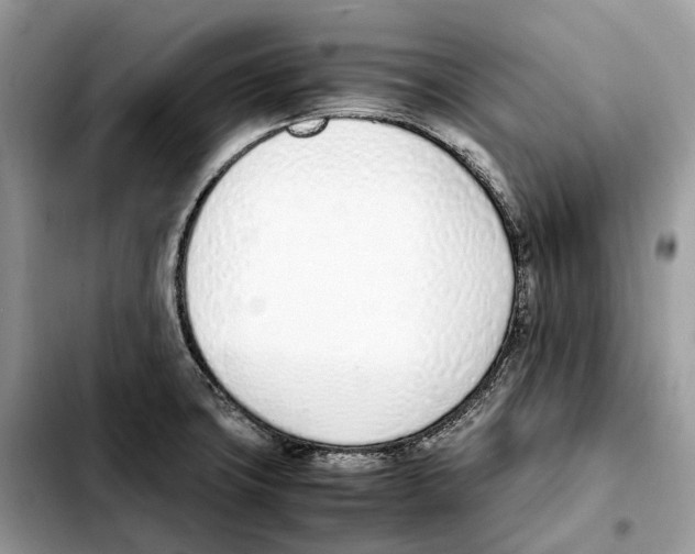 X0000103451427200810101117