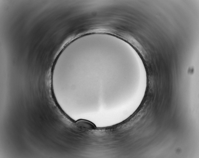 X0000103451428200810101117