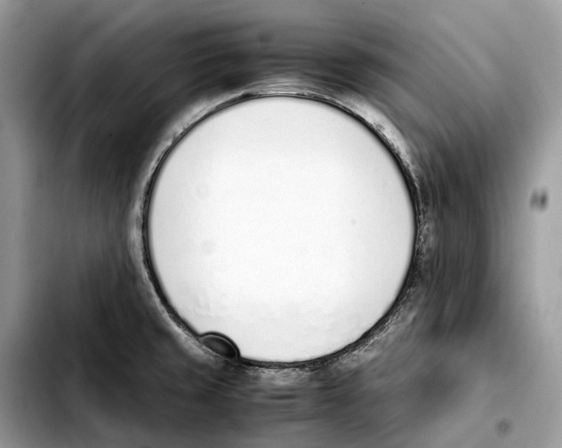 X0000103451429200810101117